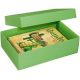 2 BUNTBOX L Geschenkboxen 3,6 l grün 26,6 x 17,2 x 7,8 cm