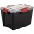 IRIS Ohyama AT-SD BkR/C/D.Red Aufbewahrungsbox 20,0 l schwarz, transparent, rot 29,0 x 39,0 x 26,0 cm