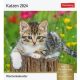 Harenberg Postkartenkalender Katzen 2024