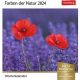Harenberg Postkartenkalender Farben der Natur 2024