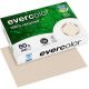 Clairefontaine Recyclingpapier Evercolor chamois DIN A4 80 g/qm 500 Blatt